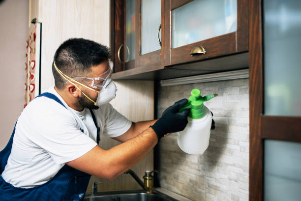 Best Commercial Pest Control Services  in Milroy, PA