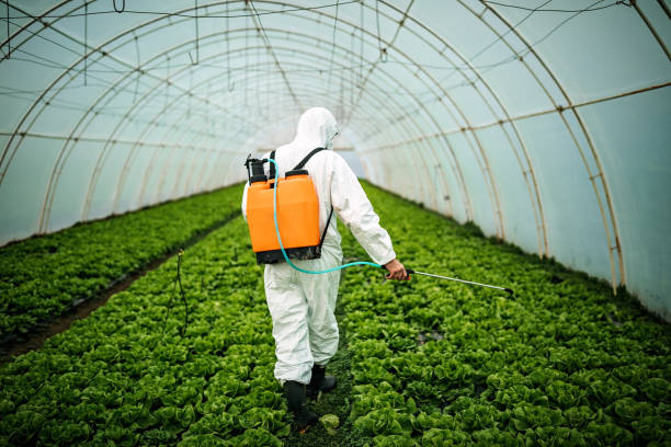 Best Pest Removal Services  in Milroy, PA