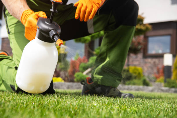 Best Pest Control for Businesses  in Milroy, PA