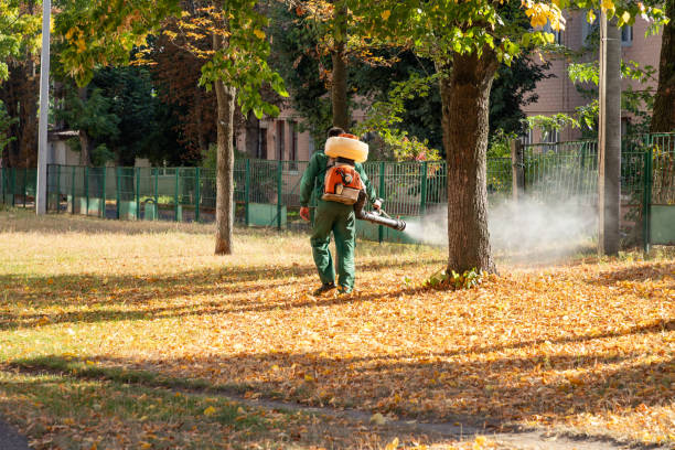 Wasp Removal Services in Milroy, PA