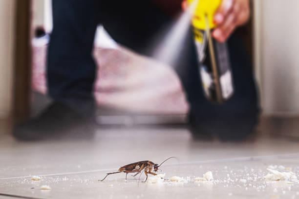 Best Pest Prevention Services  in Milroy, PA
