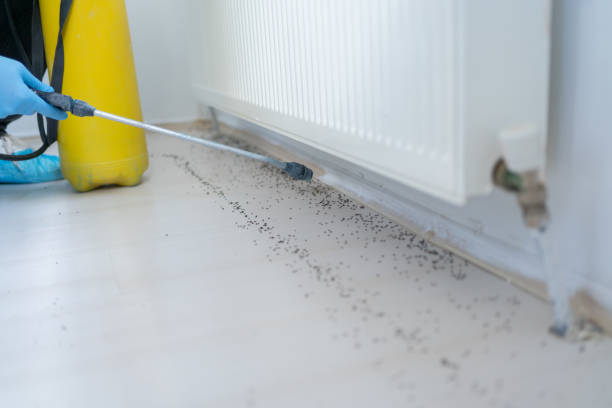 Best Pest Control Near Me  in Milroy, PA