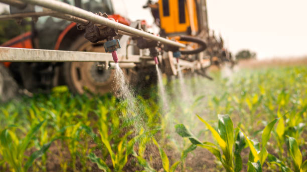 Best Local Pest Control Services  in Milroy, PA